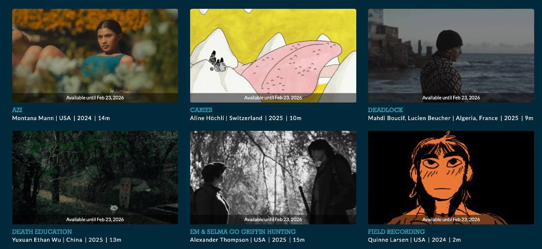 Festival Scope Wesbsite