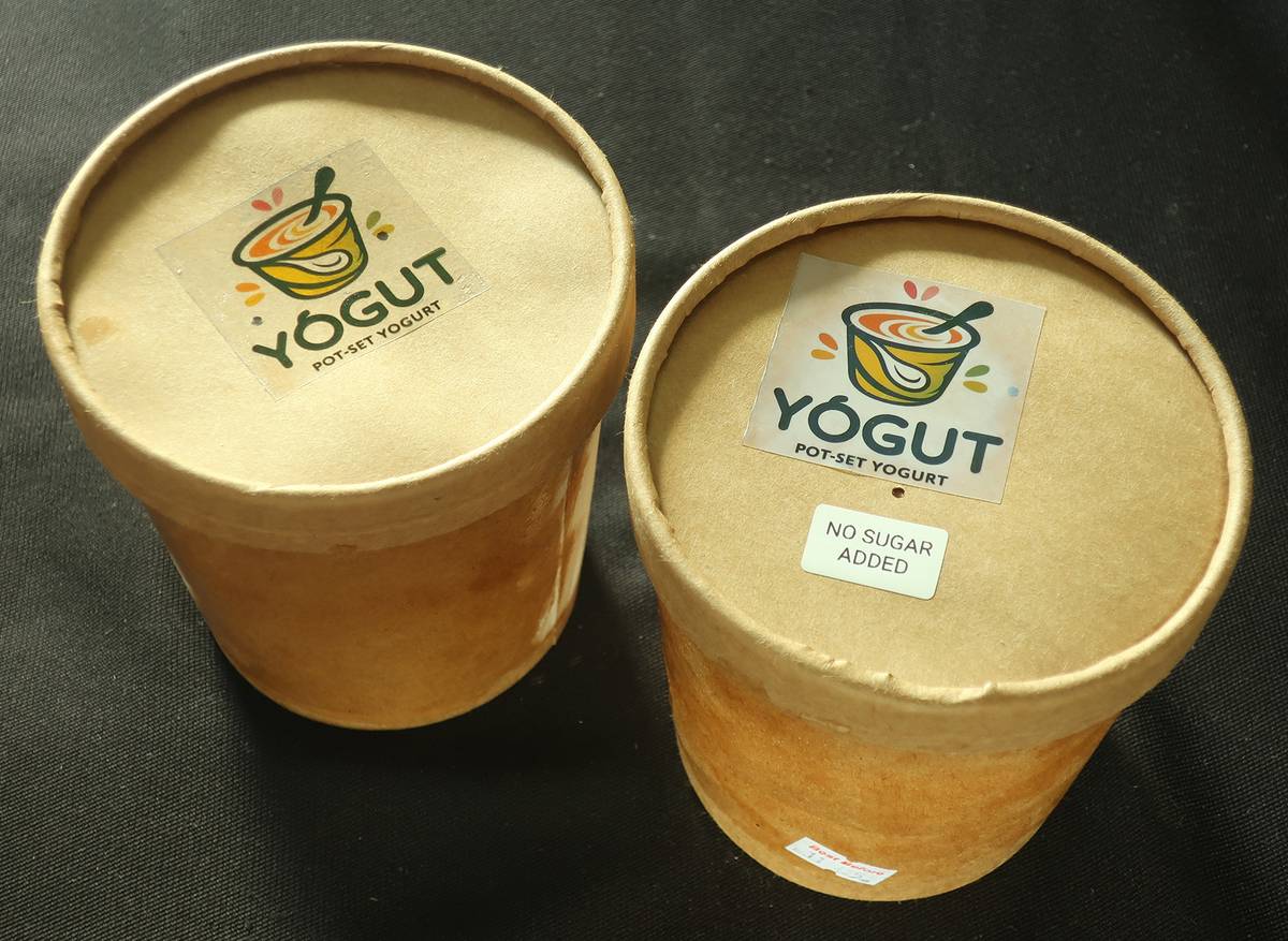 YOGUT Yogurt comes in two variants — Original and No Sugar Added.