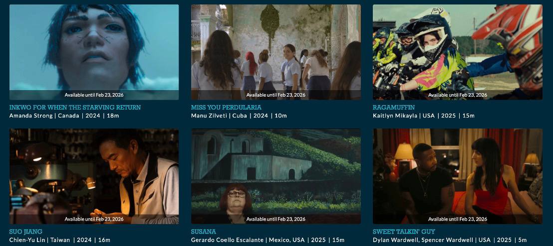 Festival Scope Website