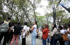 PASIG MEGA JOB FAIR