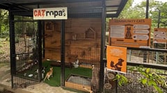 Beyond the Power Lines: How Meralco’s animal welfare advocacy keeps communities safe