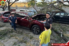 Kulang sa blessing: Apat na sasakyan nadaganan ng puno sa Manaoag Minor Basilica
