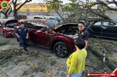 Kulang sa blessing: Apat na sasakyan nadaganan ng puno sa Manaoag Minor Basilica