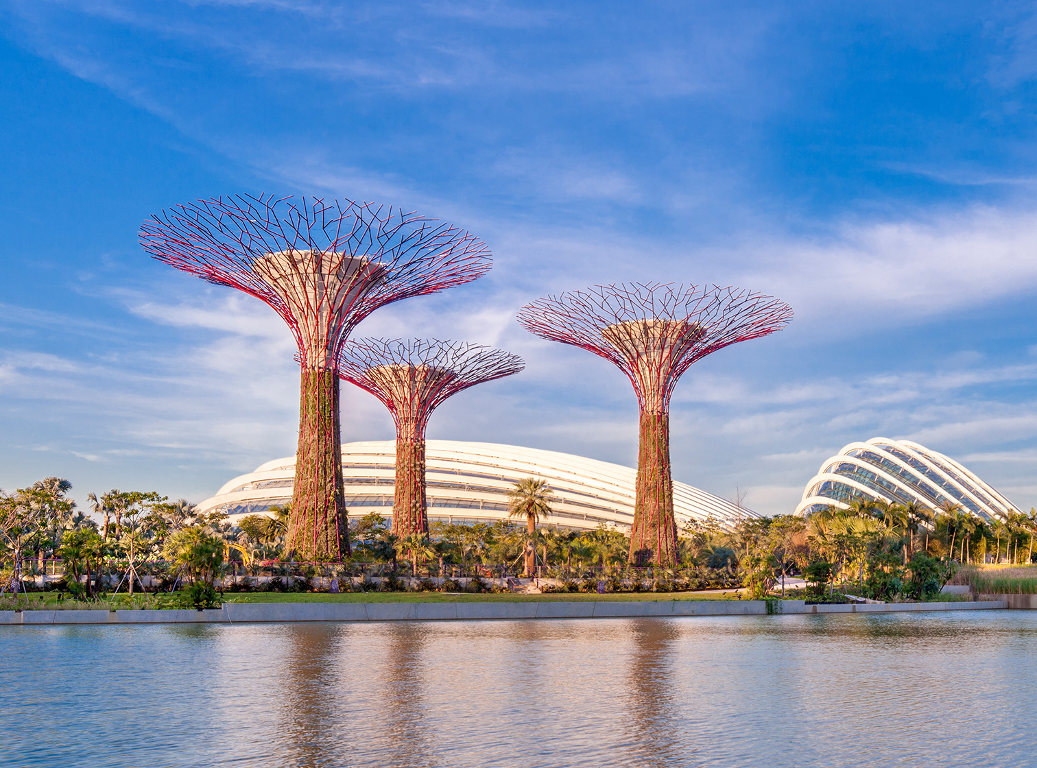 Singapore shines through