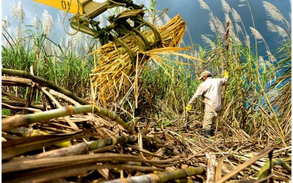 Phl agriculture logs fastest growth since 2017