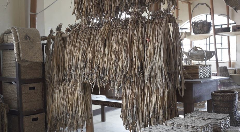WATER lilies are transformed into handicrafts and support livelihood projects.