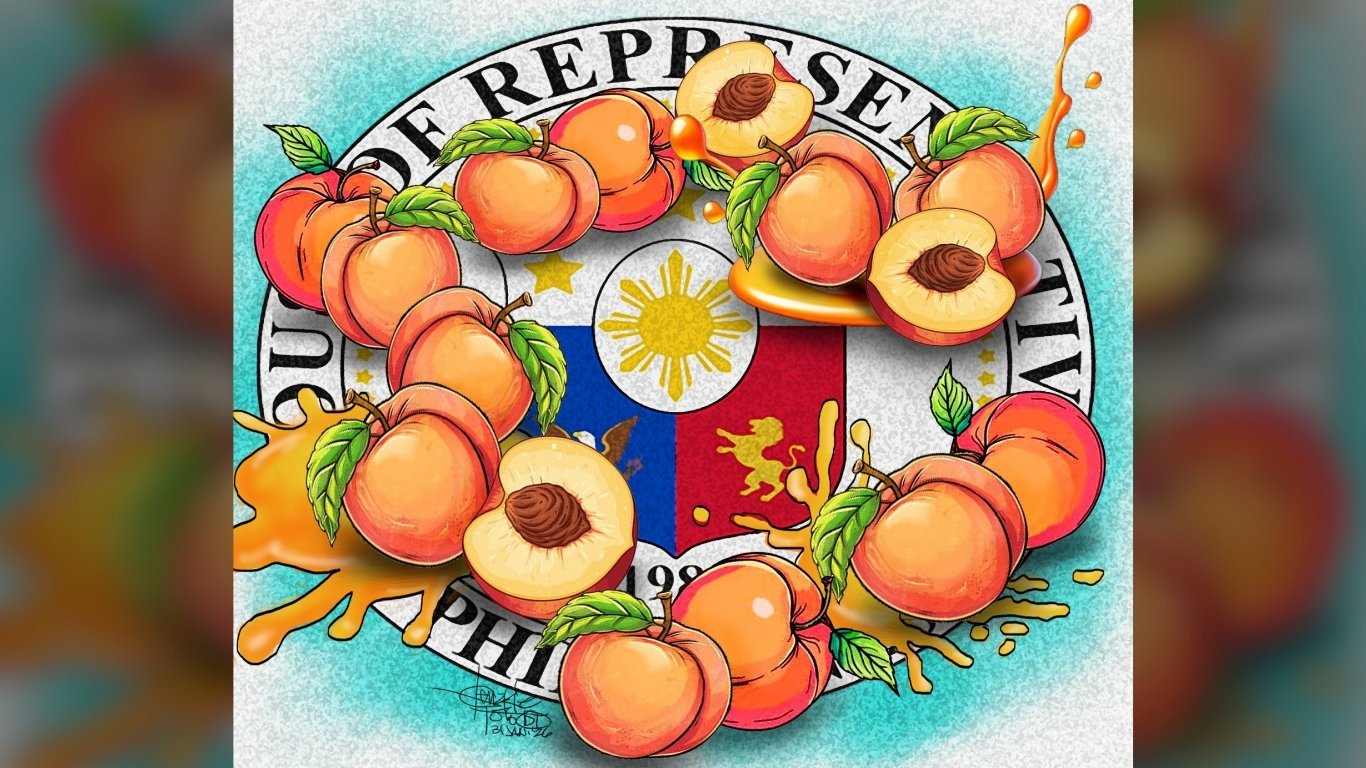 House of Misrepresentatives