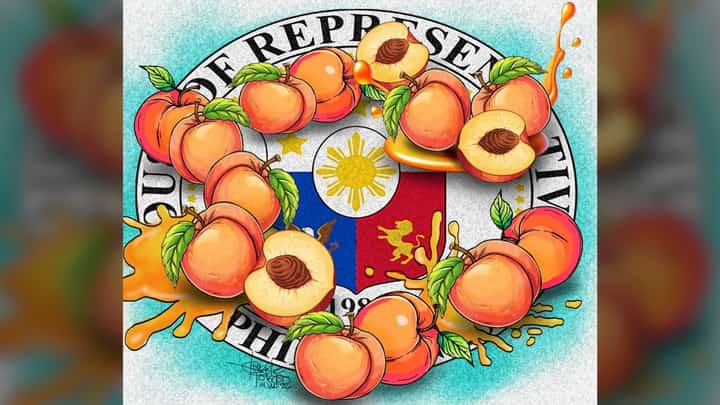 House of Misrepresentatives