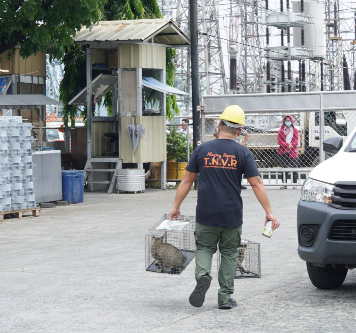 BIYAYA Animal Care personnel humanely trapping cats from one of Meralco’s Operating Sectors as part of its TNVR Mission PAW-ssible Program.