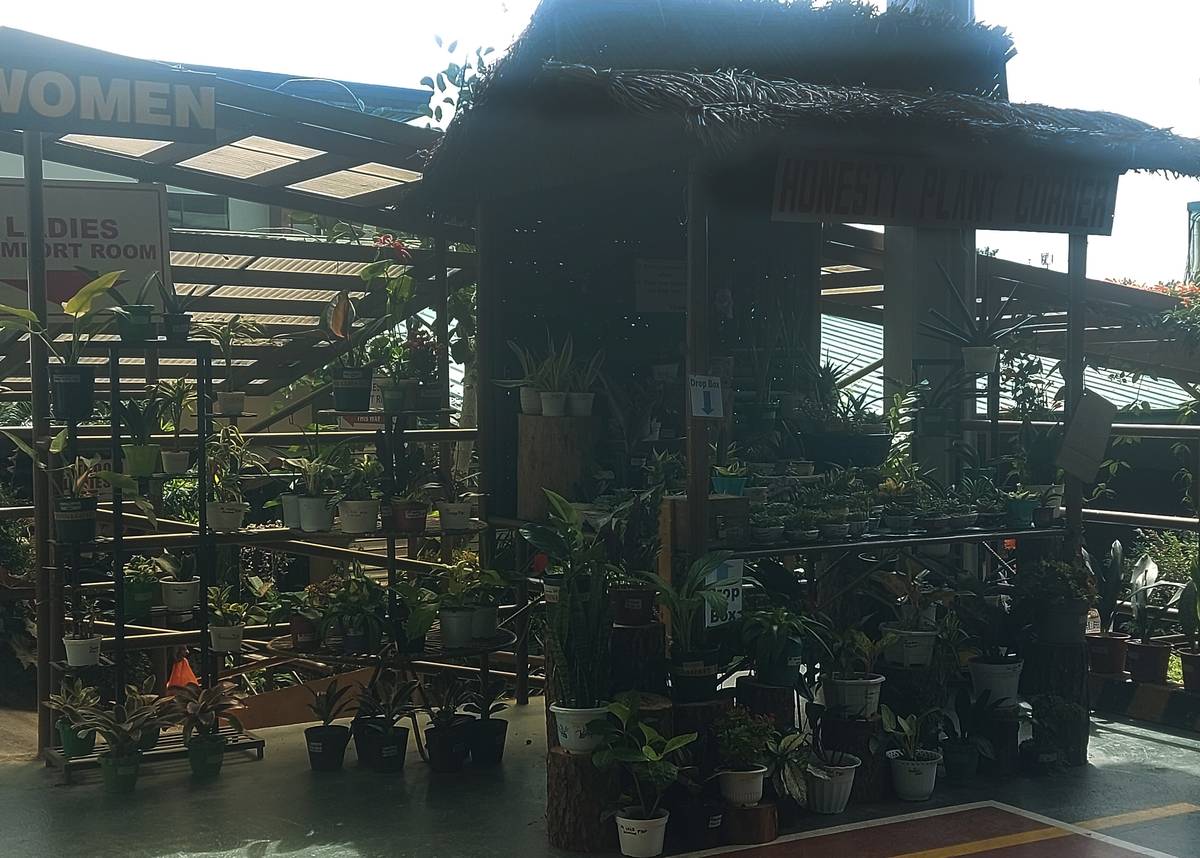 TO divert customers from just buying ube jams, Good Shepherd has diversified its offerings to include this honesty plant store.