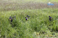 PNP chief confident of convictions in Mollenido, Casauay killings