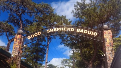 ‘Ubebe I love you’: Ube more prized than gold and silver in Baguio