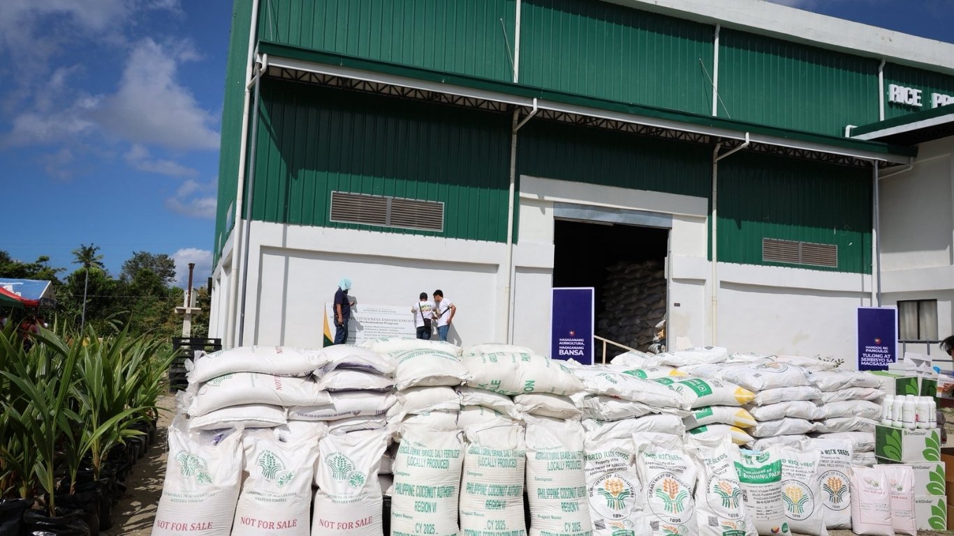WV palay production drops 47%