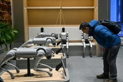 Chained up thrashing robot dog exposes AI fears