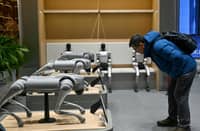 Chained up thrashing robot dog exposes AI fears