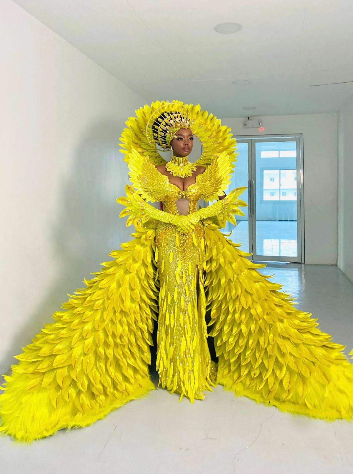 MARK Anthony S. Pimentel’s costume inspired by the endemic Isabela oriole.