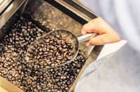 A COFFEE biofence helps protect a critical ecosystem while enabling indigenous families to build a sustainable source of income.