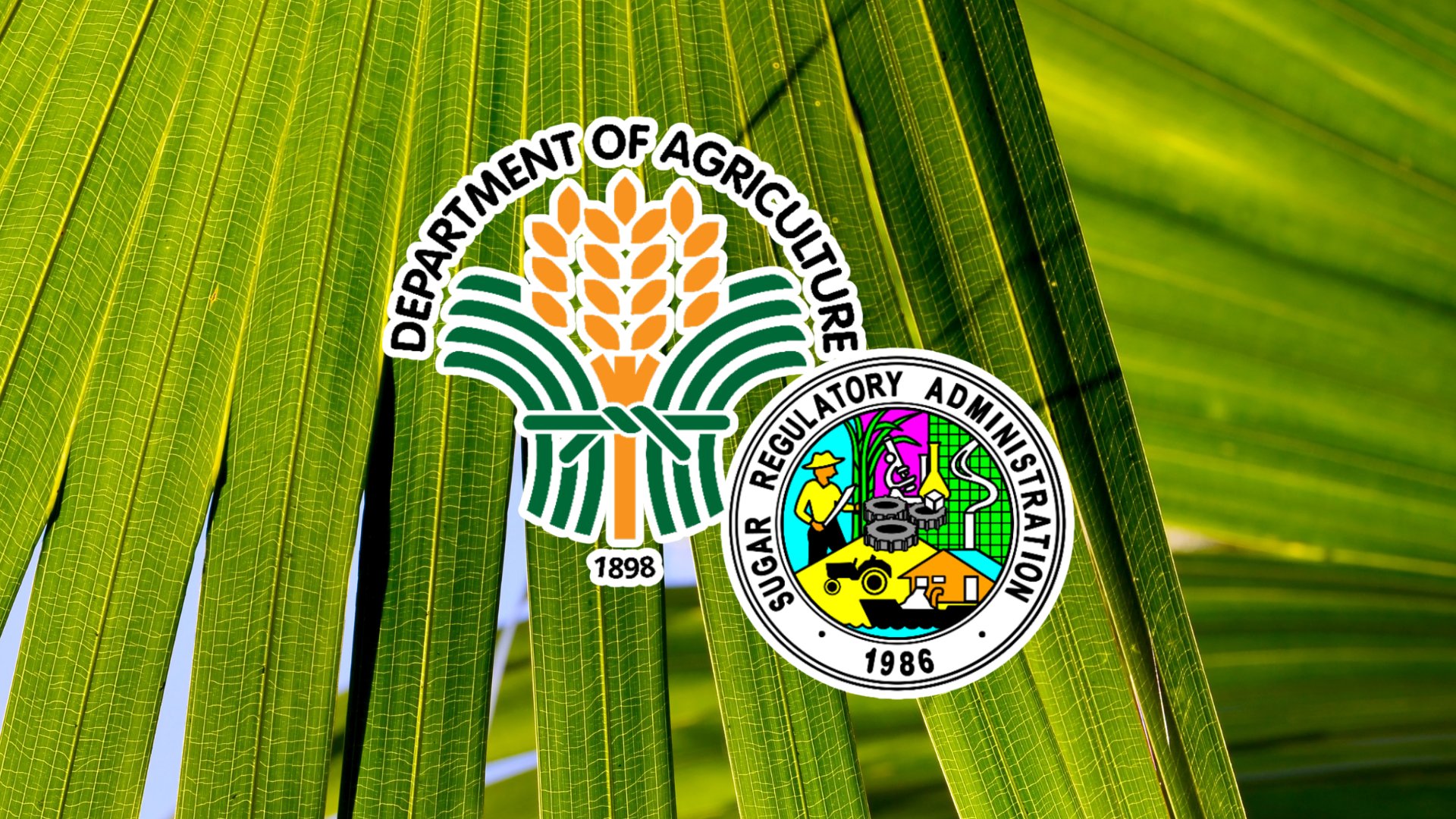 Stakeholders call DA, SRA to regulate sugar substitutes