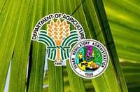 THE Department of Agriculture (DA) and the Sugar Regulatory Administration (SRA)