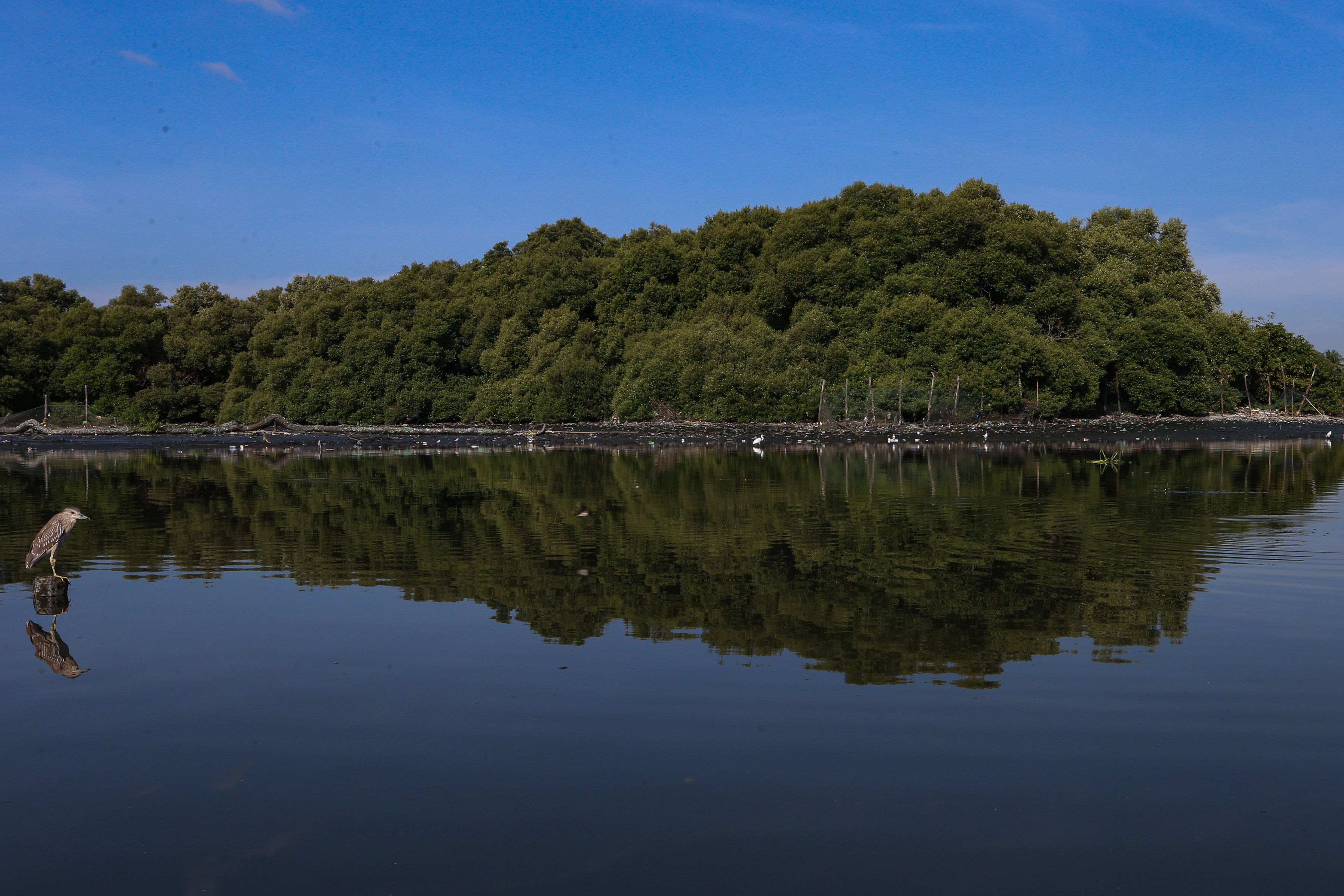 World Wetlands Day