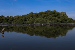 World Wetlands Day