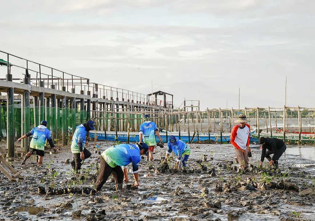AboitizPower plants mangroves amid World Wetlands Day