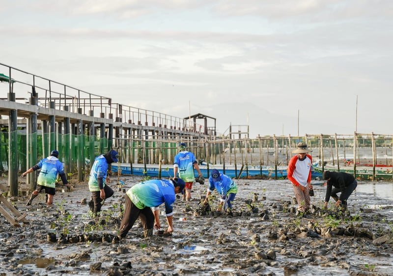 AboitizPower plants mangrove saplings in Orani