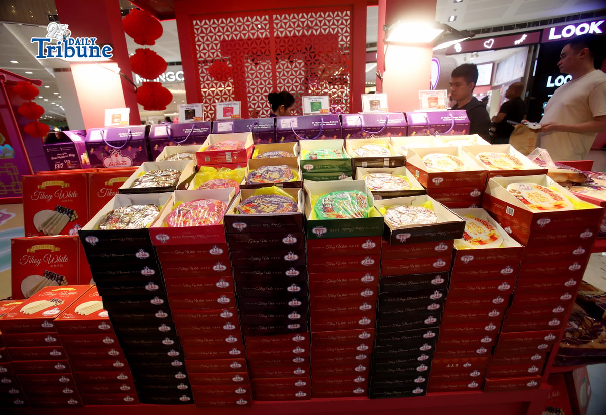 Rice Cake (Tikoy)