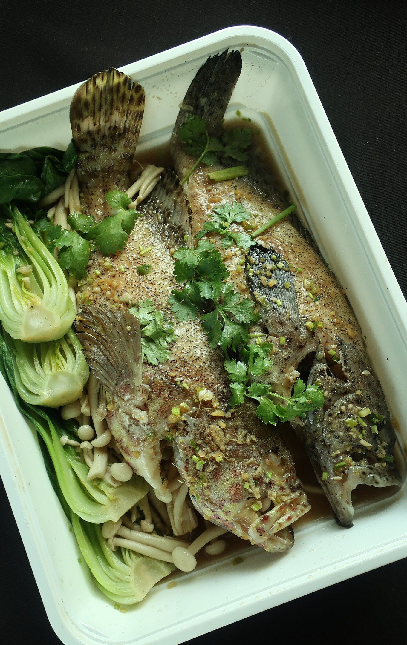STEAMED Lapu-Lapu with Bokchoy and Wansuy.