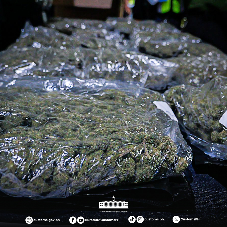 P7M high grade marijuana seized in Clark 