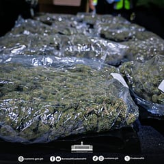 P7M high grade marijuana seized in Clark