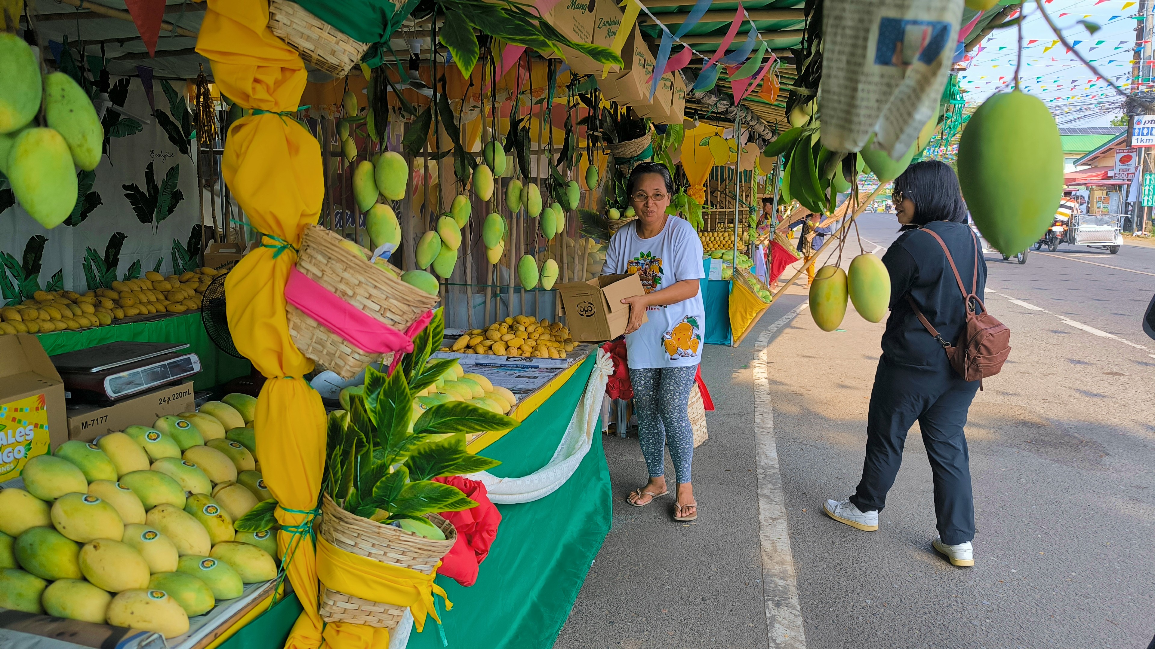 Zambales gears up for Dinamulag Festival 2026