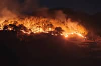 A fire ate a large portion of a forest land at the boundaries of Barangays Guinaoang and Bulalacao, Benguet on 4 February 2026. The blaze was declared fire-out around past 12 midnight. Investigation is ongoing.
