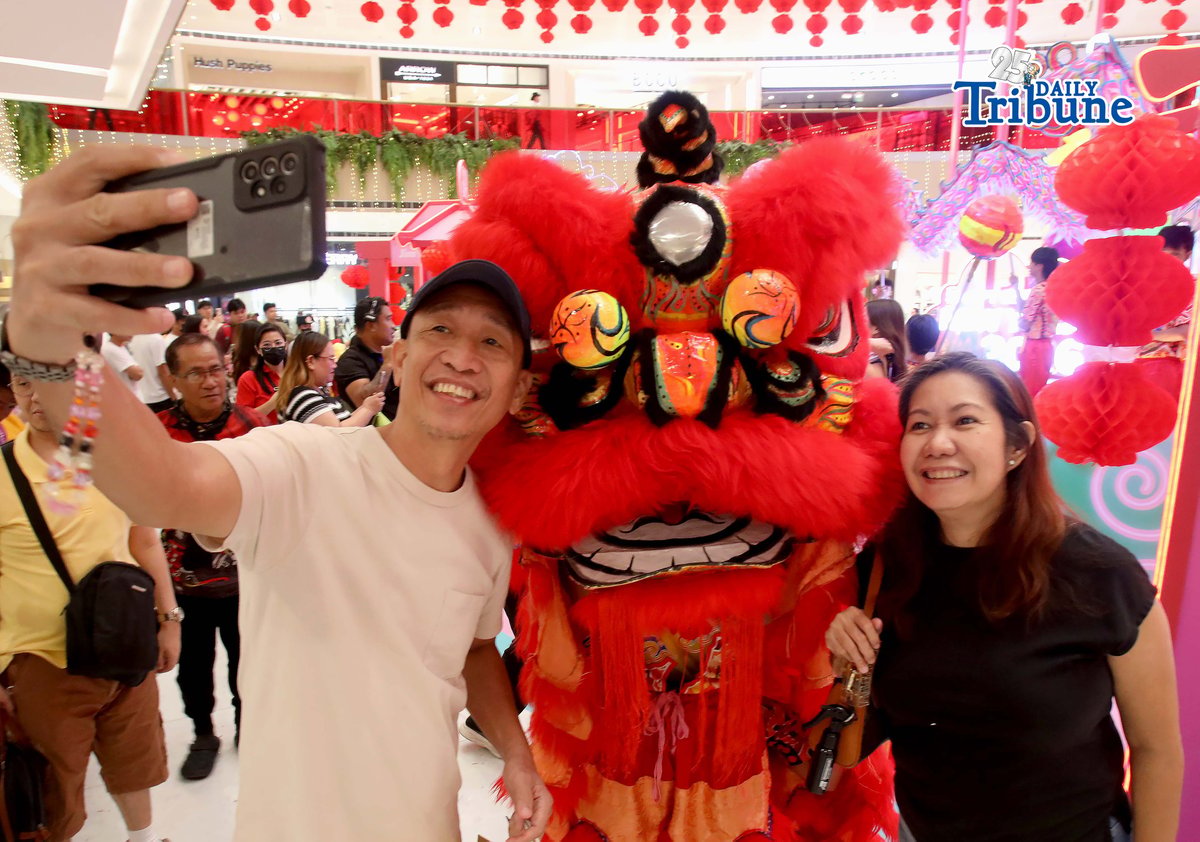 Lion and dragon dance