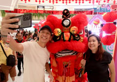 Lion and dragon dance 