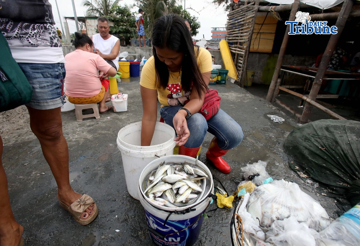 (February 06 2026) Fish vendor saw arrangements of her few fish to buy from the fishermen at the port in Navotas City on Friday February 6 2026, they brought to the market to resell the fish at a slightly high price. A study by the marine protection group Oceana says the Philippines loses 45 million kilograms of fish each year. The report highlights a 13-year decline in the nation’s fisheries, with total losses of 591,136 metric tons since 2010 due to weak law enforcement and poor governance, leading to generational poverty. In 2023, more than 353,000 fisherfolk families fell below the poverty line, including over 93,000 classified as food-poor or unable to afford even the most basic food requirements. Photo/Analy Labor