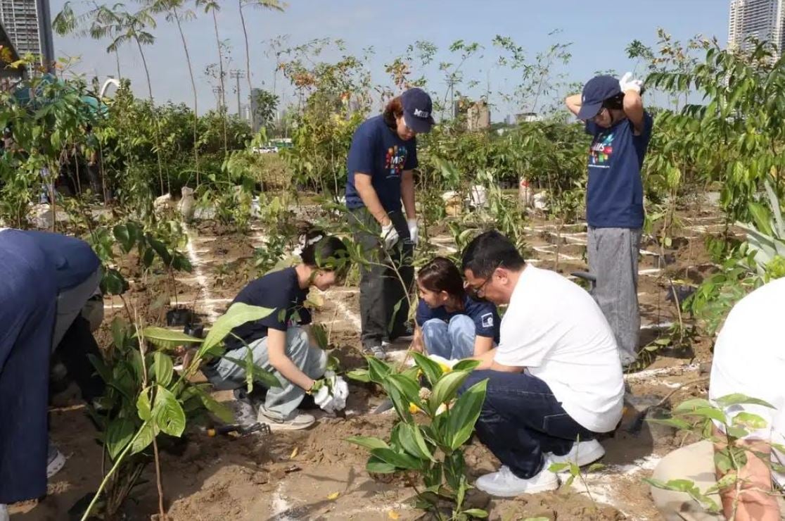 THE tree planting session led by Ayala Land, Inc. and Eton Properties Philippines will soon fill the Eco Forest in Parklinks estate with 50 native tree species from the Philippines.