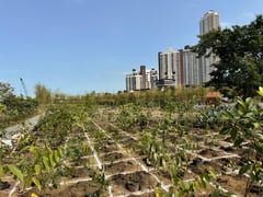 Live your best green life at Parklinks