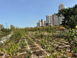 Live your best green life at Parklinks