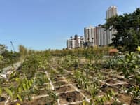 Live your best green life at Parklinks