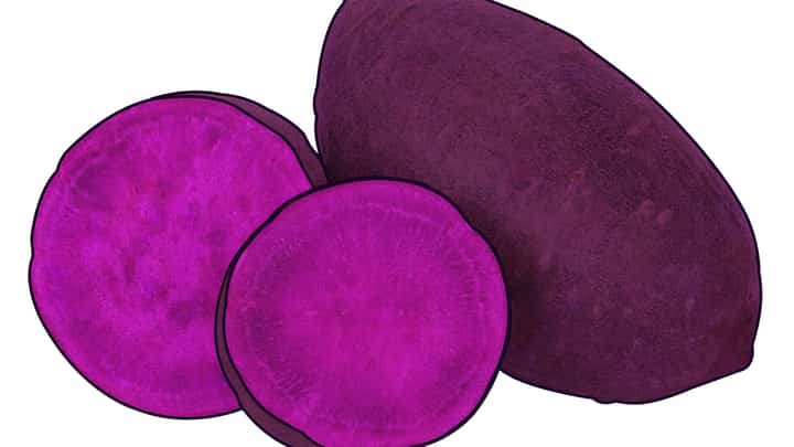 UBE (purple yam) is well loved staple in the Philippines.
