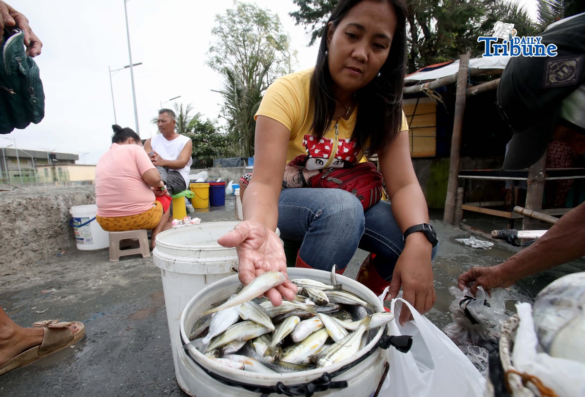 ANALY LABOR
