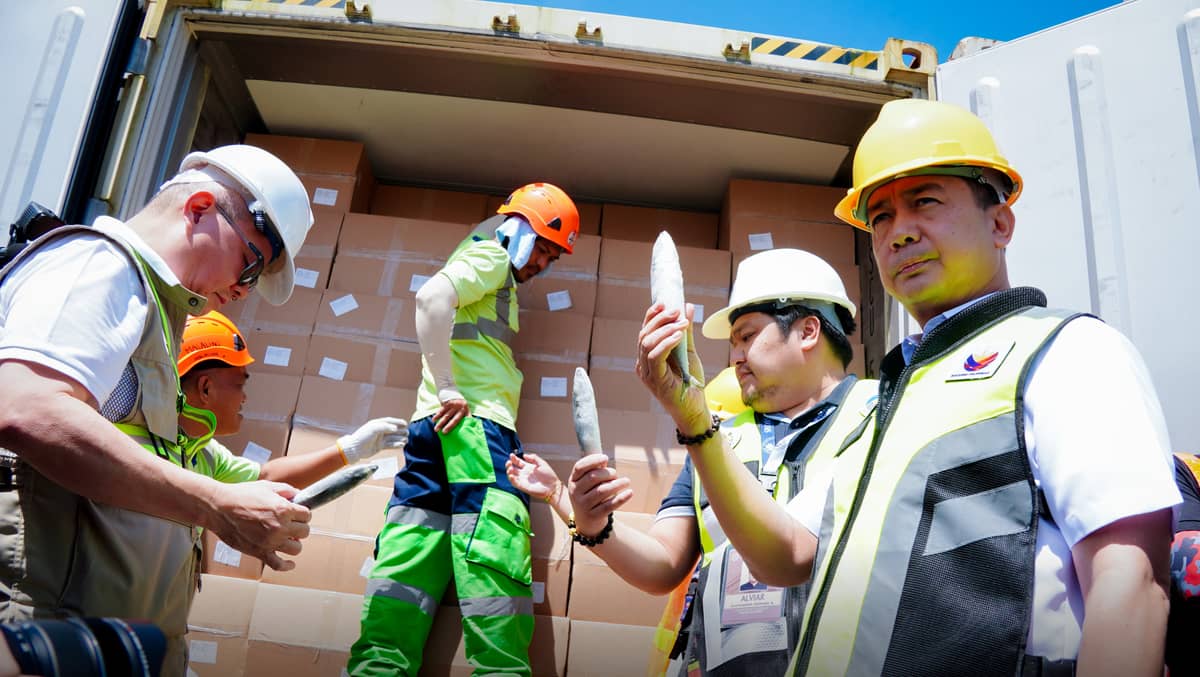 CUSTOMS Commissioner Ariel Nepomuceno (rightmost) and Agriculture Secretary Francis Tiu Laurel (leftmost) present the boxes that are part of the 720 metric tons of smuggled mackerel seized last year.