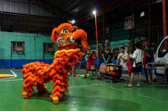 Manila's lion dancers