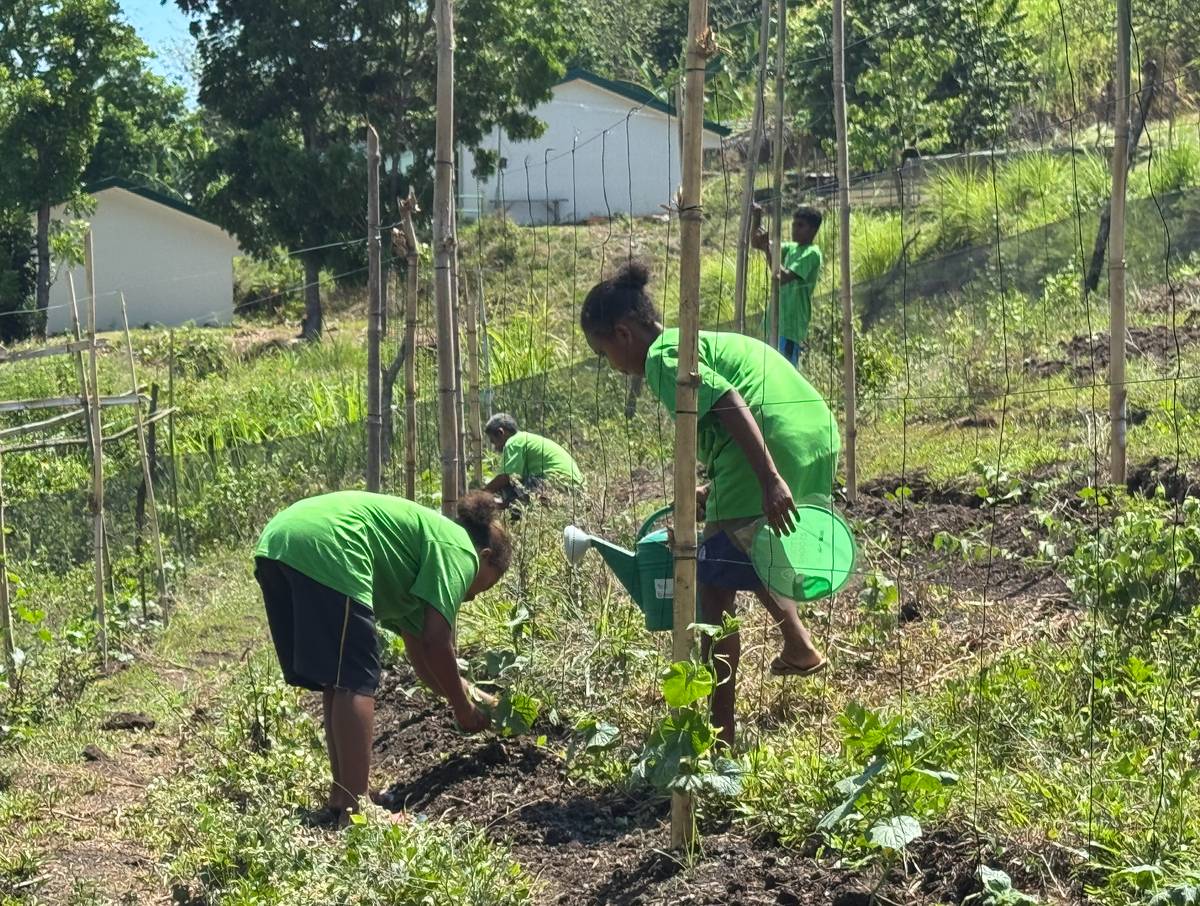 AETA girls water a communal vegetable garden in Sitio Burog.