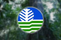 Phl targets forest carbon hub
