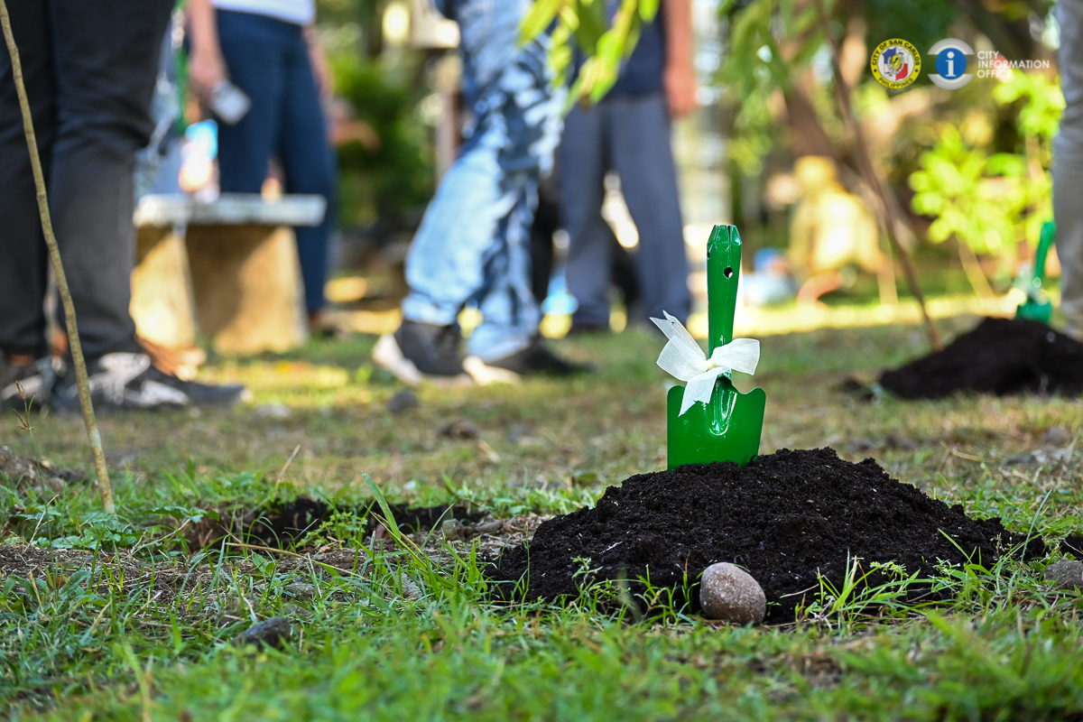 DENR signs order paving way for forest carbon investment hub