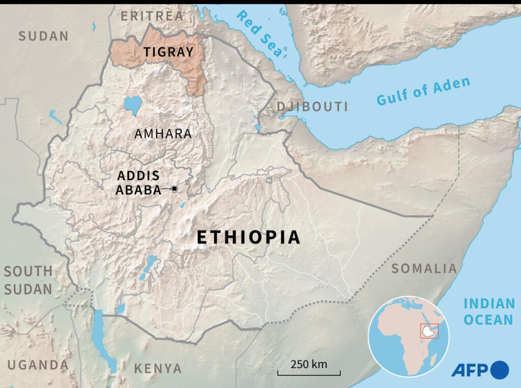 Eritrea rejects Addis claims of troops inside Ethiopian territory