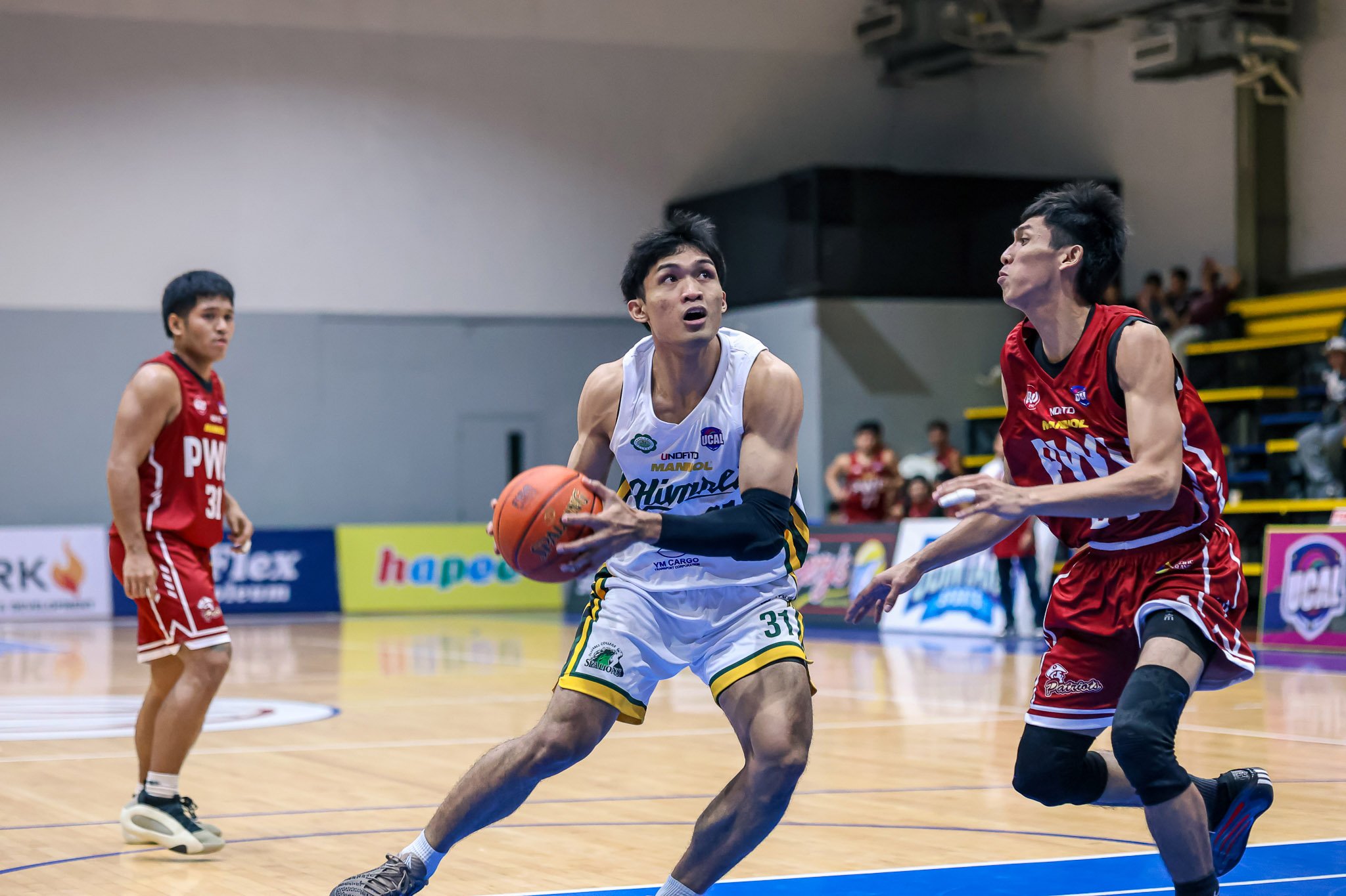 Manuel soars, powers Sea Lions