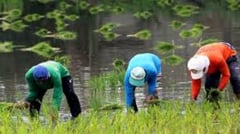 Agriculture set for steady growth in 2026